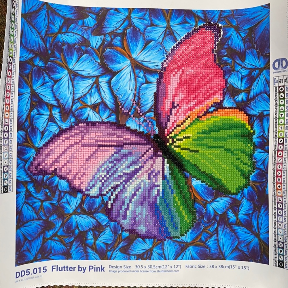 Beautiful butterfly